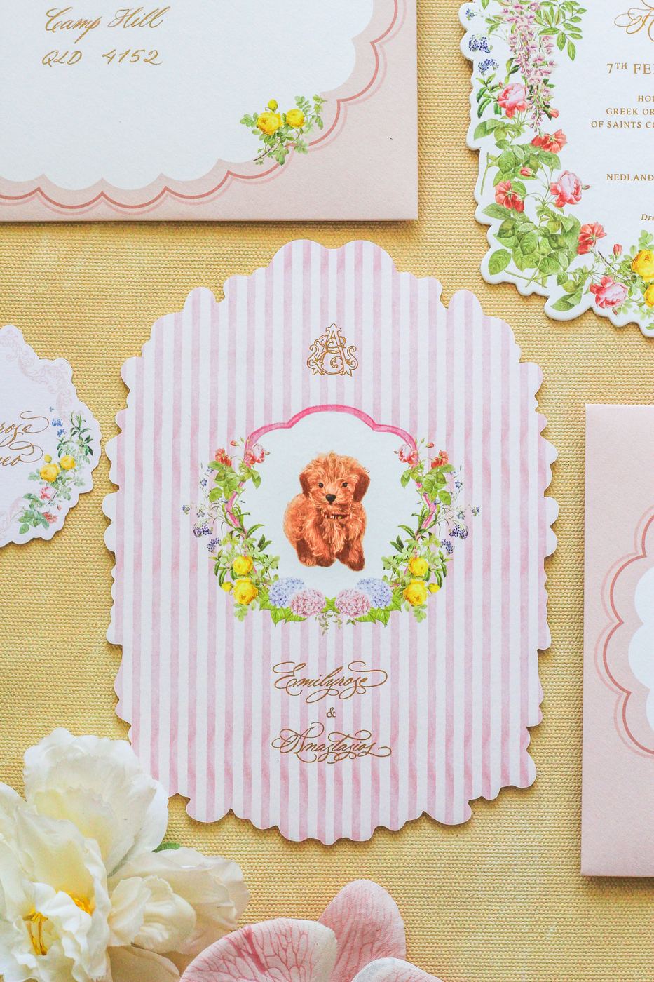 Design and Illustration
